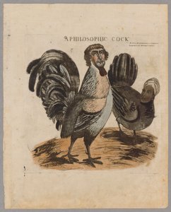 Filosofinen kukko, 1804 tekijältä American School