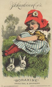 J. D. Larkinin ja Cos Boraxinen mainos, 1882