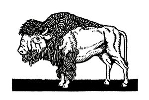 American Bison of the Old West tekijältä American School