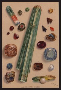 Amerikkalaiset jalokivet (värilitografia) tekijältä American School