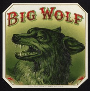 Black Wolf paljastaa hampaat tekijältä American School