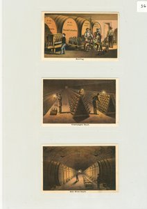 Pullotus- ja samppanjaholvi, Viinitilan kauppakortit, n.1876 (värilitho) tekijältä American School
