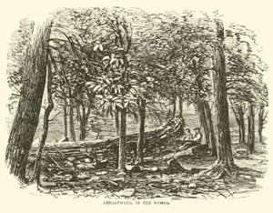 Rintatyöt metsässä, heinäkuu 1863 tekijältä American School