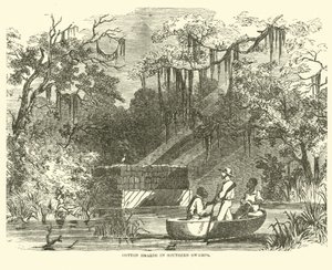 Puuvillavarastot Southern Swampsissa, heinäkuu 1862 tekijältä American School