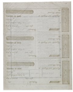 Dixie painettu arkin kääntöpuolelle, 1861 tekijältä American School