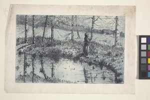 Girl By Pond (etsaus ja levysävy painettu sinisellä) tekijältä American School