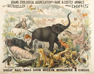 Suuri harvinaisten ja kalliiden eläinten eläintieteellinen ryhmittymä Batchellerin ja Dorisin kanssa (chromolitho) tekijältä American School