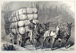 Puuvillan kuljettaminen markkinoille, Yhdysvaltain sadan vuoden edistysaskelista, pubi. 1871 kaiverrus tekijältä American School
