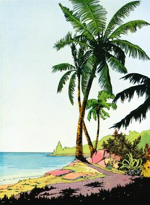 Kuva Beach Paradise palmujen kanssa tekijältä American School