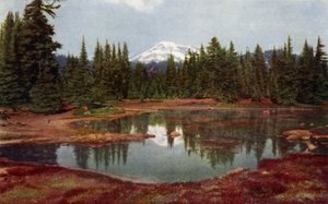 Oregonin vuoristossa (väri litho) tekijältä American School