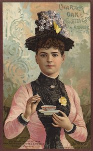 Lady sekoittaen teekuppia