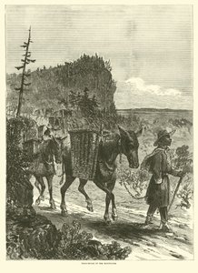 Muuleja vuoristossa, helmikuu 1863 tekijältä American School