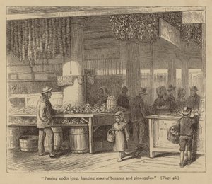"Kuljemme pitkien, roikkuvien banaani- ja ananaspuiden alla" (kaiverrus) tekijältä American School