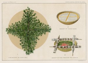 Huonekalut ja erilaiset esineet 1100- ja 1300-luvuilta tekijältä American School