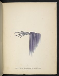 Levy 8. Luuranko käsi.  Spektropia; tai Yllättäviä spektriilluusioita, joissa näkyy haamuja kaikkialla, minkä tahansa värisinä jne. ser. 1.  J.H. Ruskea  1864 tekijältä American School