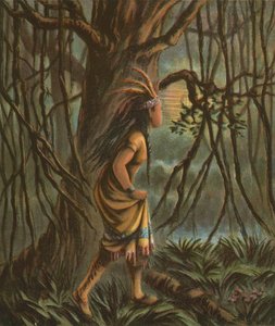 Pocahontas tekijältä American School