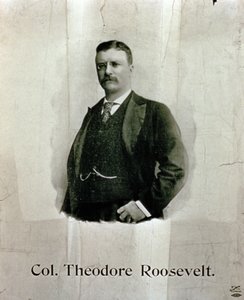 Eversti Theodore Rooseveltin muotokuva tekijältä American School