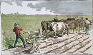 Sodbusters of the American West, n. 1880 (värillinen kaiverrus) tekijältä American School