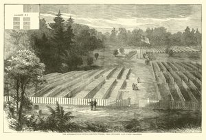 Andersonvillen hautausmaat, jonne haudattiin 14 000 unionin vankia, toukokuu 1865 tekijältä American School