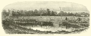 Vehnäpelto, jossa Reynolds kaatui, heinäkuussa 1863 tekijältä American School