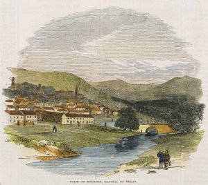 Näkymä Houstoniin, Texasin pääkaupunkiin, n. 1852 (käsinvärinen puukaiverrus) tekijältä American School