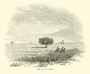 View on the Teche, huhtikuu 1863 tekijältä American School