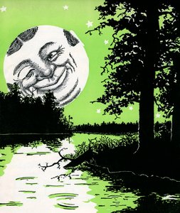 Vilkkuva 