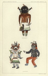 Wukokoti, Kohonino (colour litho) tekijältä American School