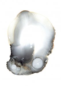 Näyte XI tekijältä Amy Louise Baker