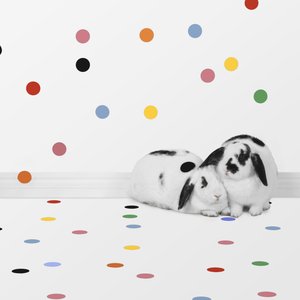 Puput 05, 2018 (valokuvaus) tekijältä Ana Carolina Tavares Mizrahi