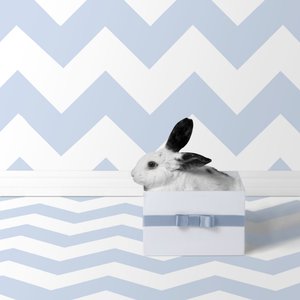 Puput 06, 2018 (valokuvaus) tekijältä Ana Carolina Tavares Mizrahi