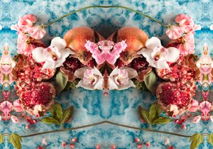 Eve_04, 2016 (Valokuvaus) tekijältä Ana Carolina Tavares Mizrahi