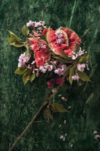 Eve_09, 2016 (Valokuvaus) tekijältä Ana Carolina Tavares Mizrahi