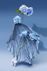 Ikebana 03, 2018 (valokuvaus) tekijältä Ana Carolina Tavares Mizrahi