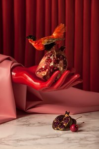 Rubi_07, 2015 (valokuvaus) tekijältä Ana Carolina Tavares Mizrahi