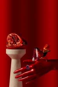 Rubi_09, 2015 (valokuvaus) tekijältä Ana Carolina Tavares Mizrahi