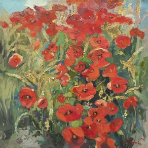 Kesäinen unikenttä tekijältä Anastasiia Grygorieva