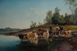 Lehmät meren rannalla tekijältä Anders Askevold