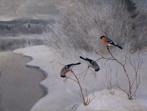 Bullfinches tekijältä Anders Kongsrud