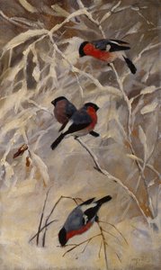 Bullfinches tekijältä Anders Kongsrud