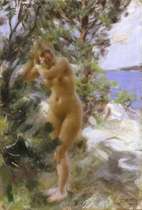 Kylvyn jälkeen tekijältä Anders Leonard Zorn