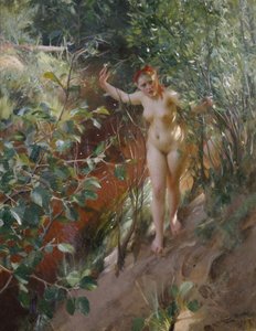 Punainen hiekka tekijältä Anders Leonard Zorn