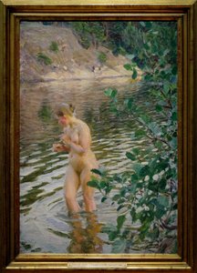 Kylmä virta tekijältä Anders Leonard Zorn