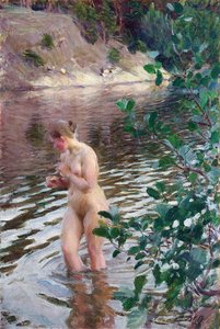 Kylmä virta Zorn, Anders Leonard (1860-1920). Öljy kankaalle, koko: 98x66