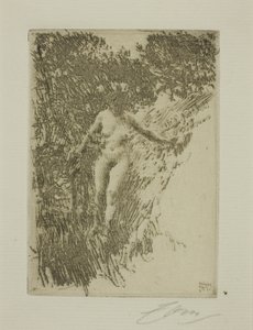 Brushwood tekijältä Anders Leonard Zorn