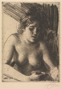 Rintakuva tekijältä Anders Leonard Zorn
