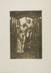 Cabinfinnish tekijältä Anders Leonard Zorn