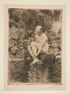 Dagmar tekijältä Anders Leonard Zorn
