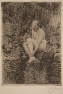  tekijältä Anders Zorn