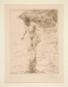 dollaria tekijältä Anders Leonard Zorn